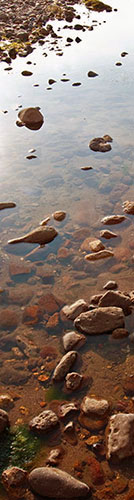 river rocks