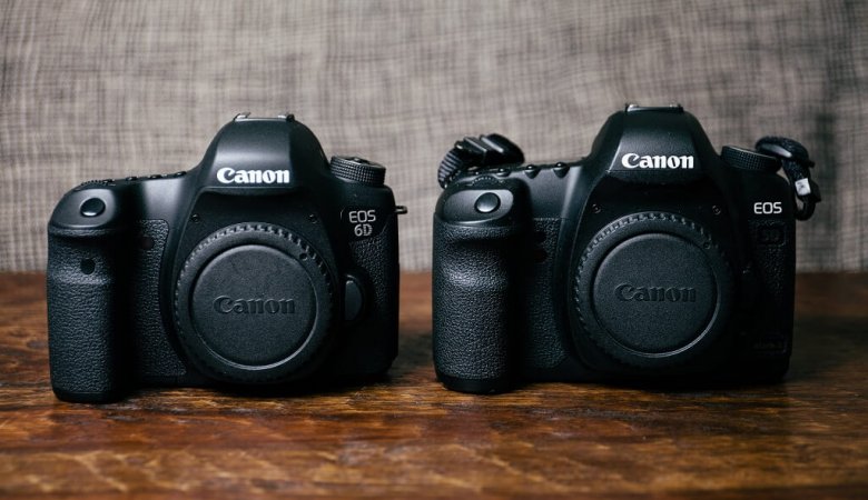 EOS 6D Mark II Vs. EOS 5D Mark IV Reviews